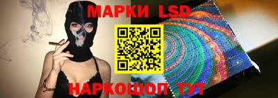 стаф Новодвинск