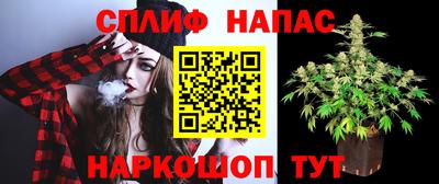 стаф Новодвинск