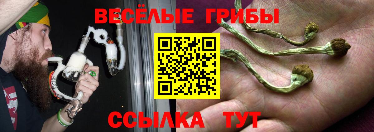 Псилоцибиновые грибы мухоморы  Вход с VPN  Сегежа 